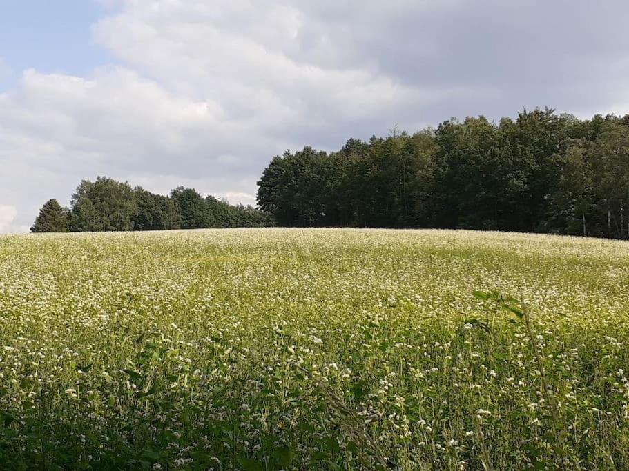 Schoene Und Ruhige Ferienwohnung In Ottendorf เซบนิทซ์ ภายนอก รูปภาพ