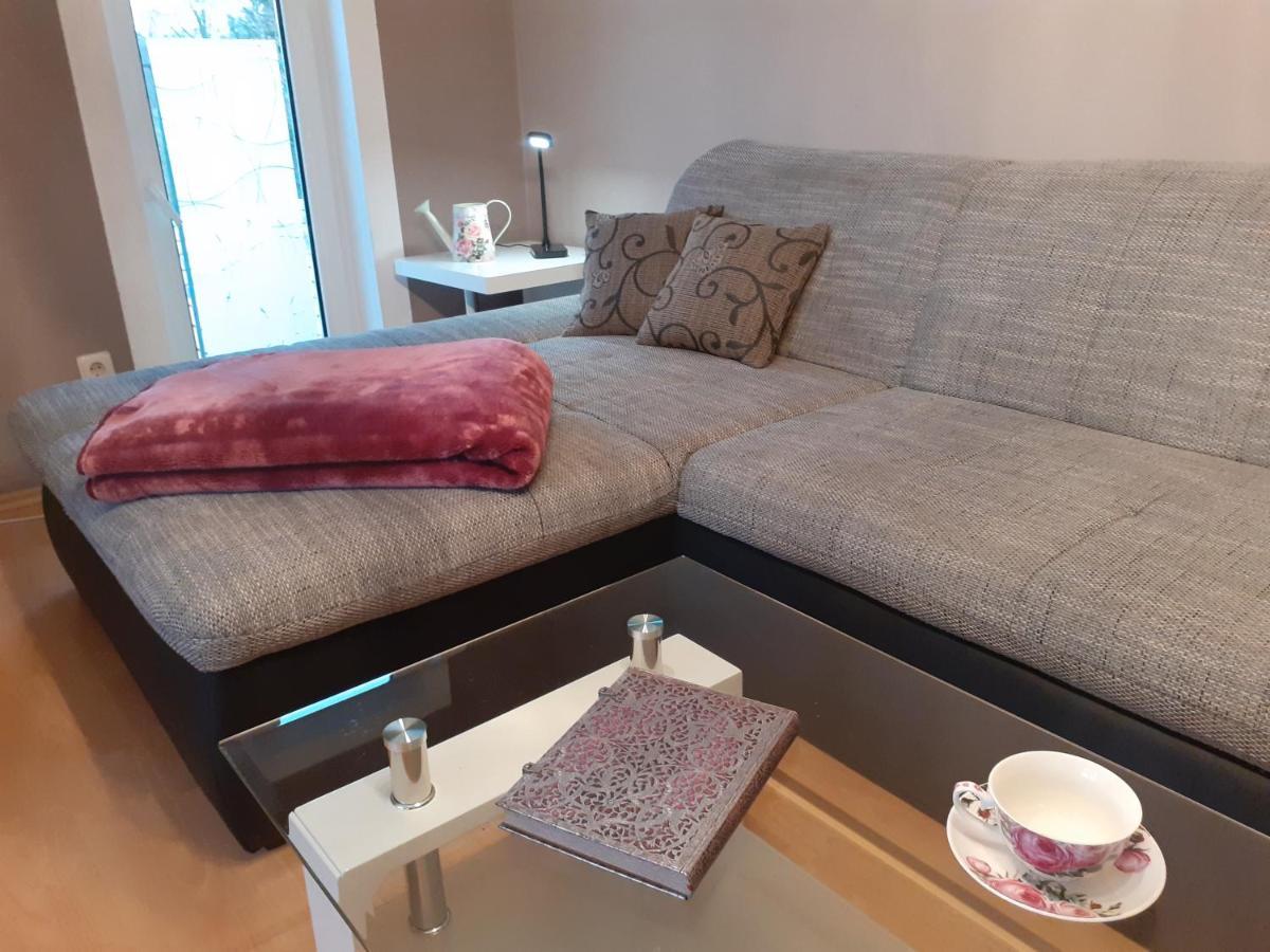 Schoene Und Ruhige Ferienwohnung In Ottendorf เซบนิทซ์ ภายนอก รูปภาพ